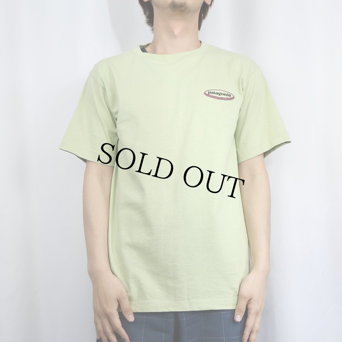 画像2: 90's Patagonia USA製 ロゴプリントTシャツ S (2)