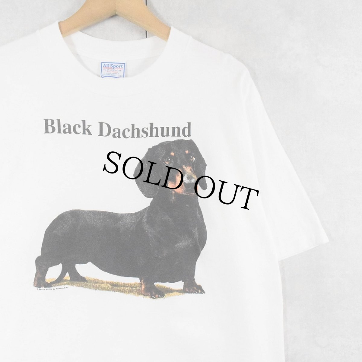 画像1: 90's USA製 "Black Dachshund" 犬プリントTシャツ L (1)