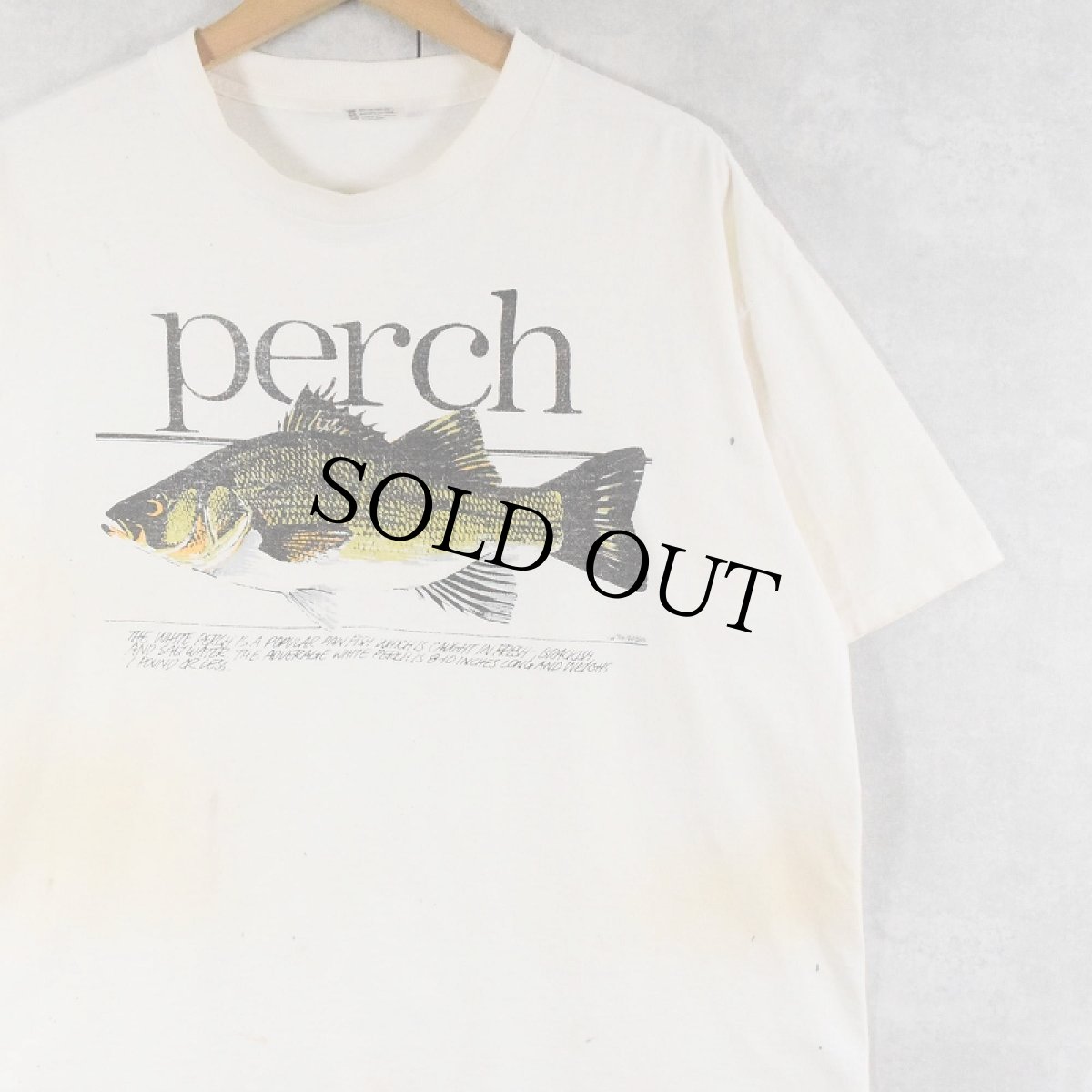 画像1: 90's USA製 "perch" 魚プリントTシャツ XL (1)