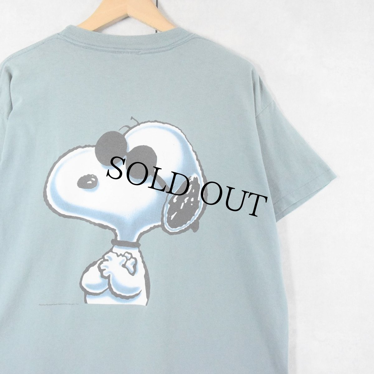 画像1: 90's SNOOPY JOE COOL "Calvin Klein" パロディプリントTシャツ (1)