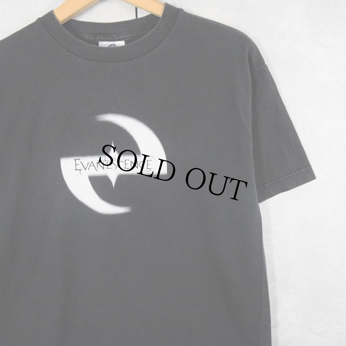 画像1: EVANESCENCE ロックバンド プリントTシャツ M (1)