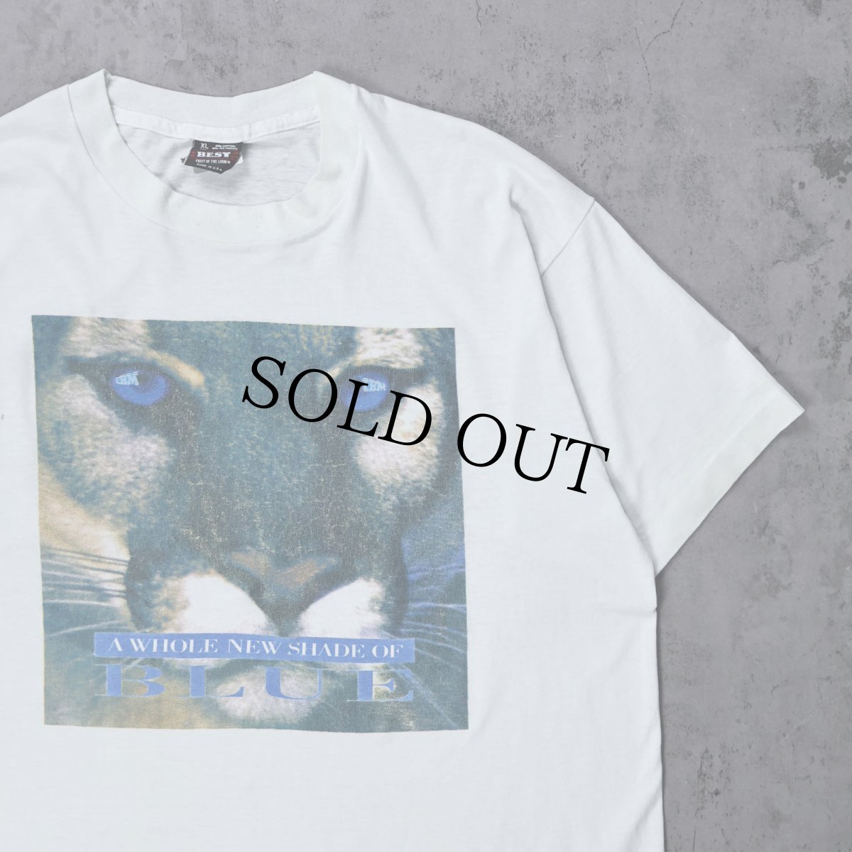 画像1: 90's IBM USA製 "A WHOLE NEW SHADE OF BLUE" コンピューター企業 プリントTシャツ XL (1)