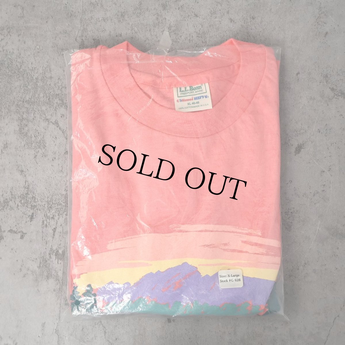 画像2: 【SALE】 90's L.L.Bean by Hanes USA製 ロゴプリントTシャツ XL DEADSTOCK (2)