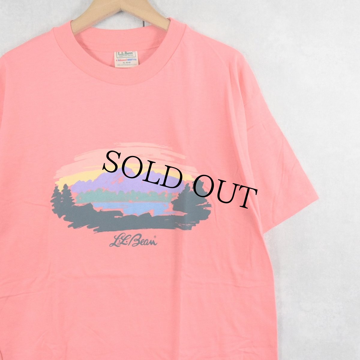 画像1: 【SALE】 90's L.L.Bean by Hanes USA製 ロゴプリントTシャツ XL DEADSTOCK (1)
