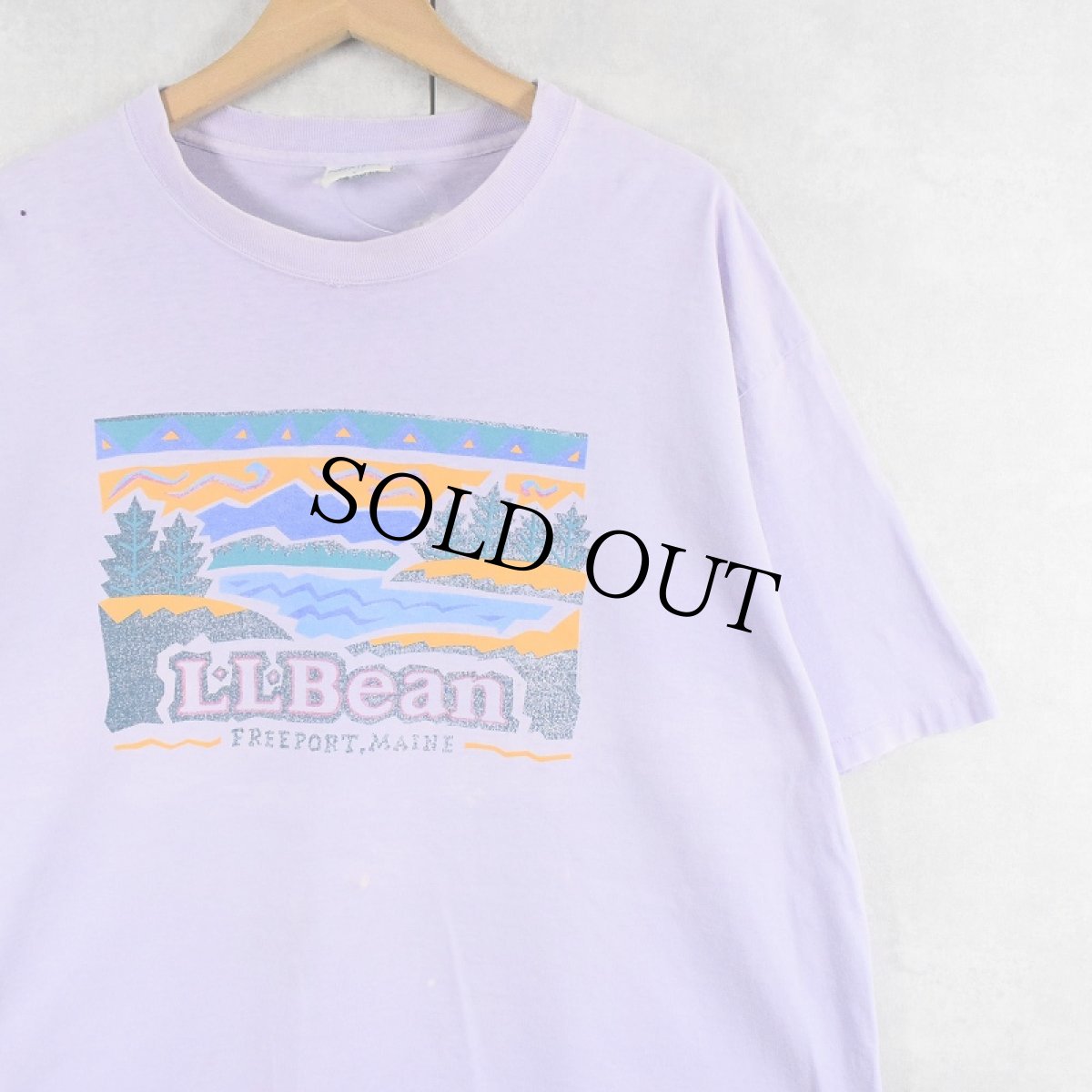 画像1: 90's L.L.Bean USA製 ロゴプリントTシャツ L (1)