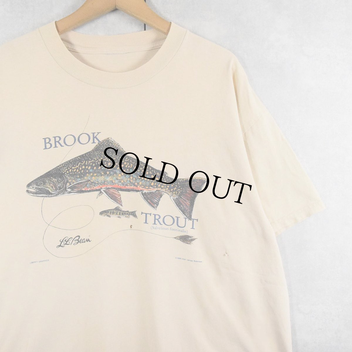 画像1: 90's〜 L.L.Bean × LIBERTY GRAPHICS "BROOK TROUT" プリントTシャツ (1)