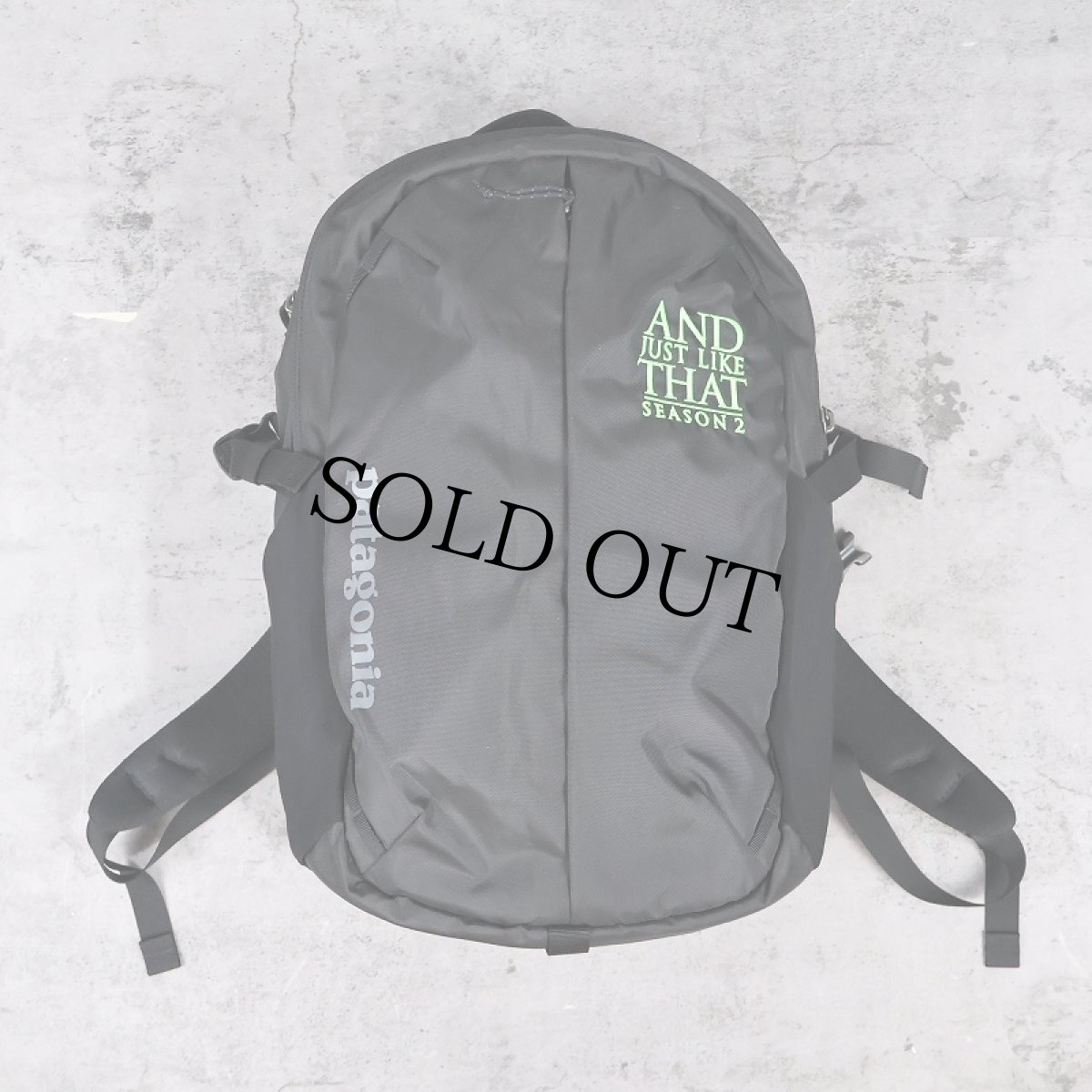 画像1: Patagonia REFUGIO PACK "AND JUST LIKE THAT season2" ドラマ刺繍入り バックパック (1)