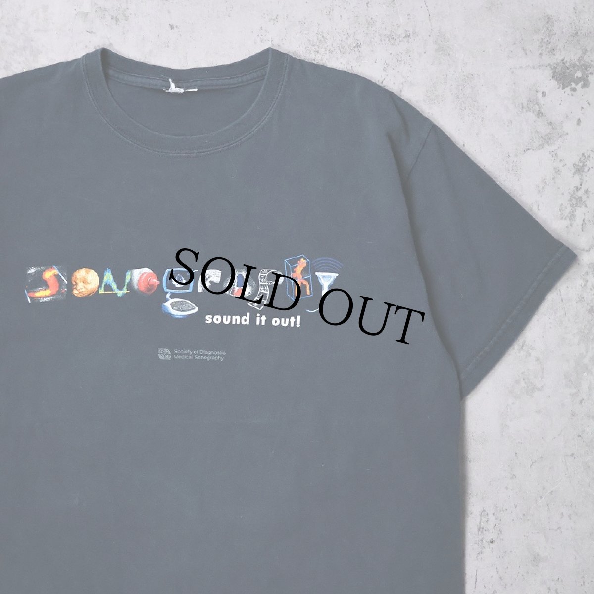 画像1: SDMS 非営利団体プリントTシャツ (1)