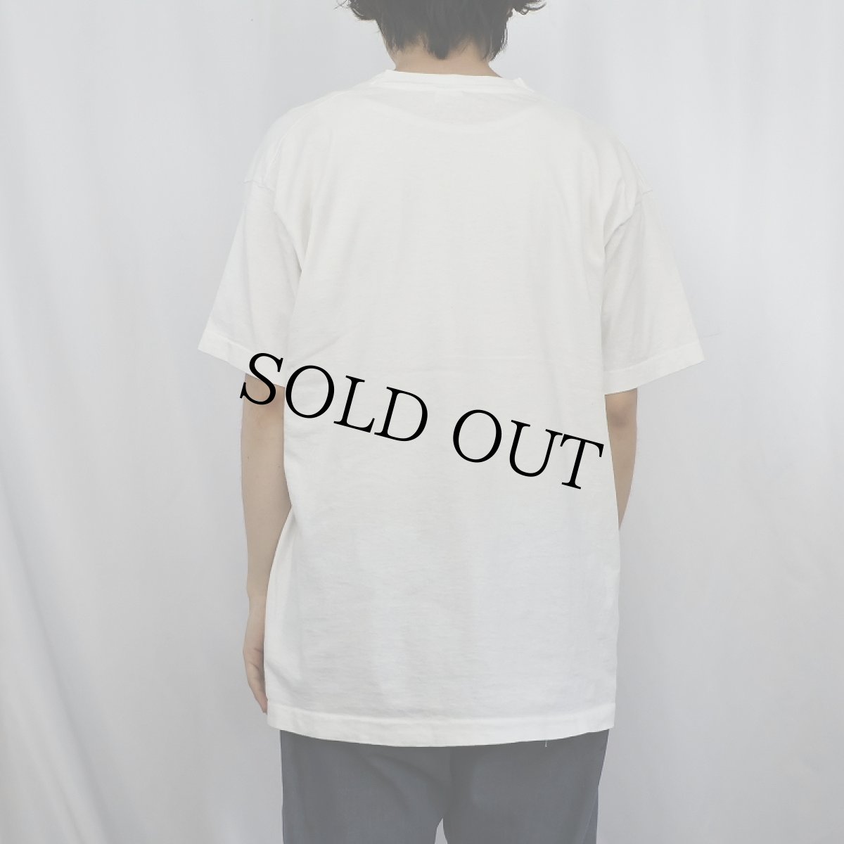 画像3: 90's Walt Kelly USA製 "Pogo" コミックプリントTシャツ XL (3)