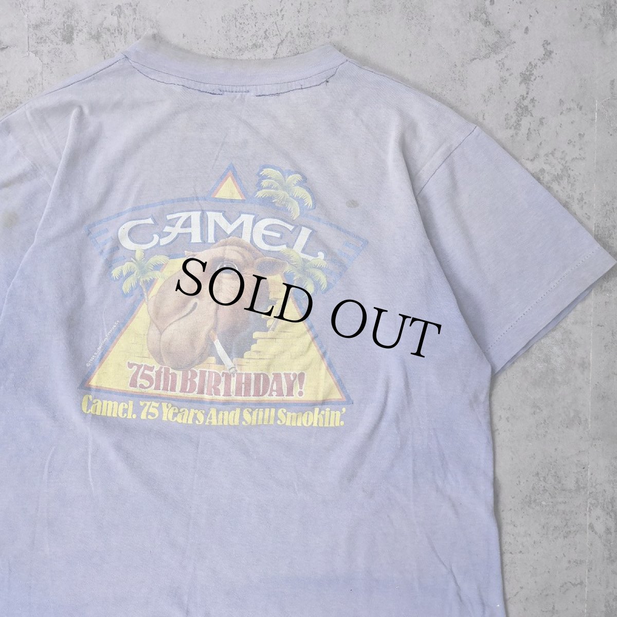 画像1: CAMEL タバコ企業 キャラクタープリントTシャツ (1)