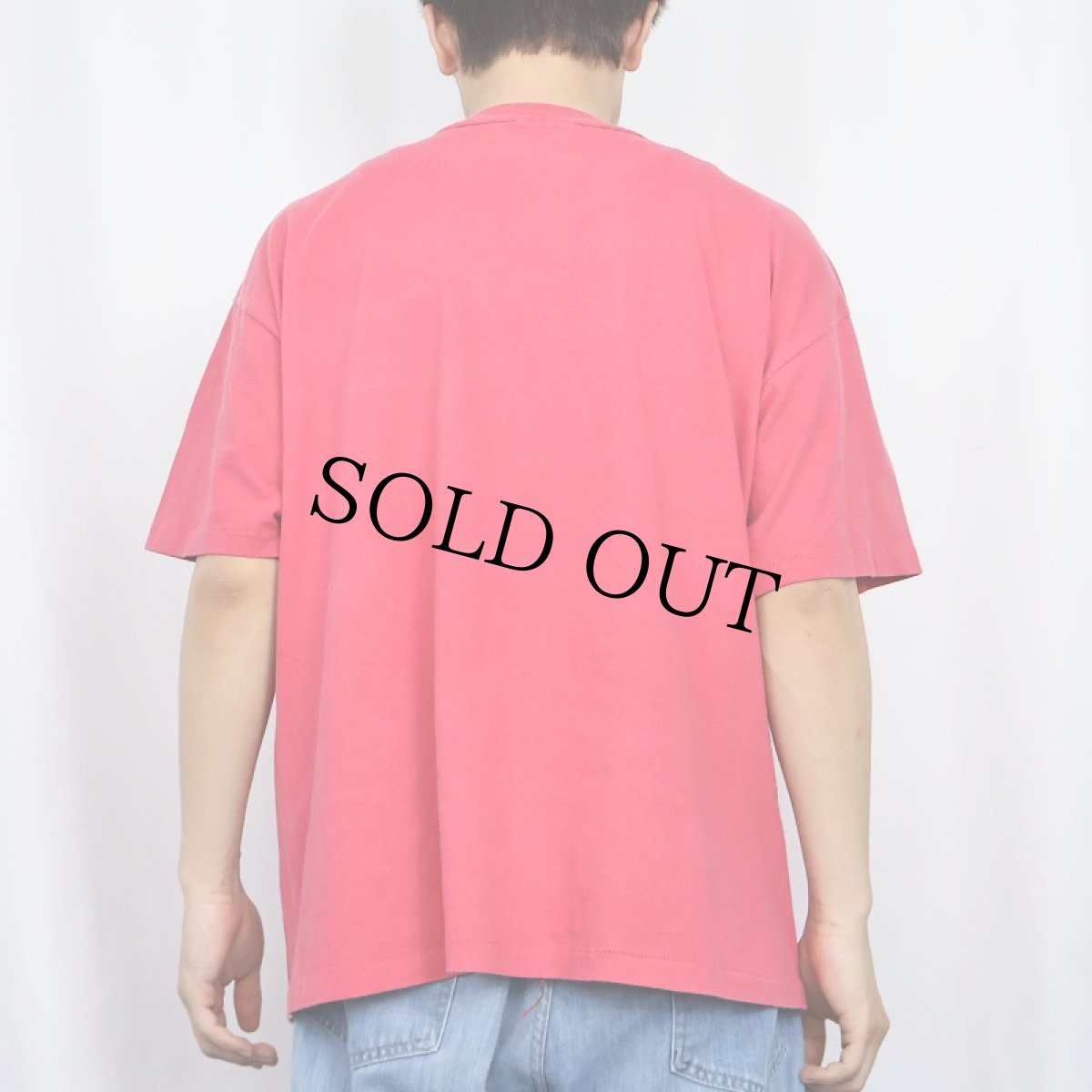 画像3: 90's Apple USA製 "Macintosh" レインボーロゴプリントTシャツ L (3)