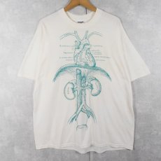 画像1: 80's JERZEES "NDRI" 臓器イラストTシャツ XL (1)