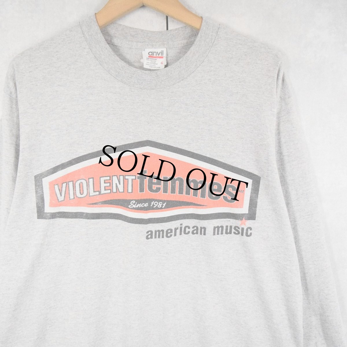 画像1: 90's Violent Femmes USA製 フォークパンクバンドプリントロンT L (1)