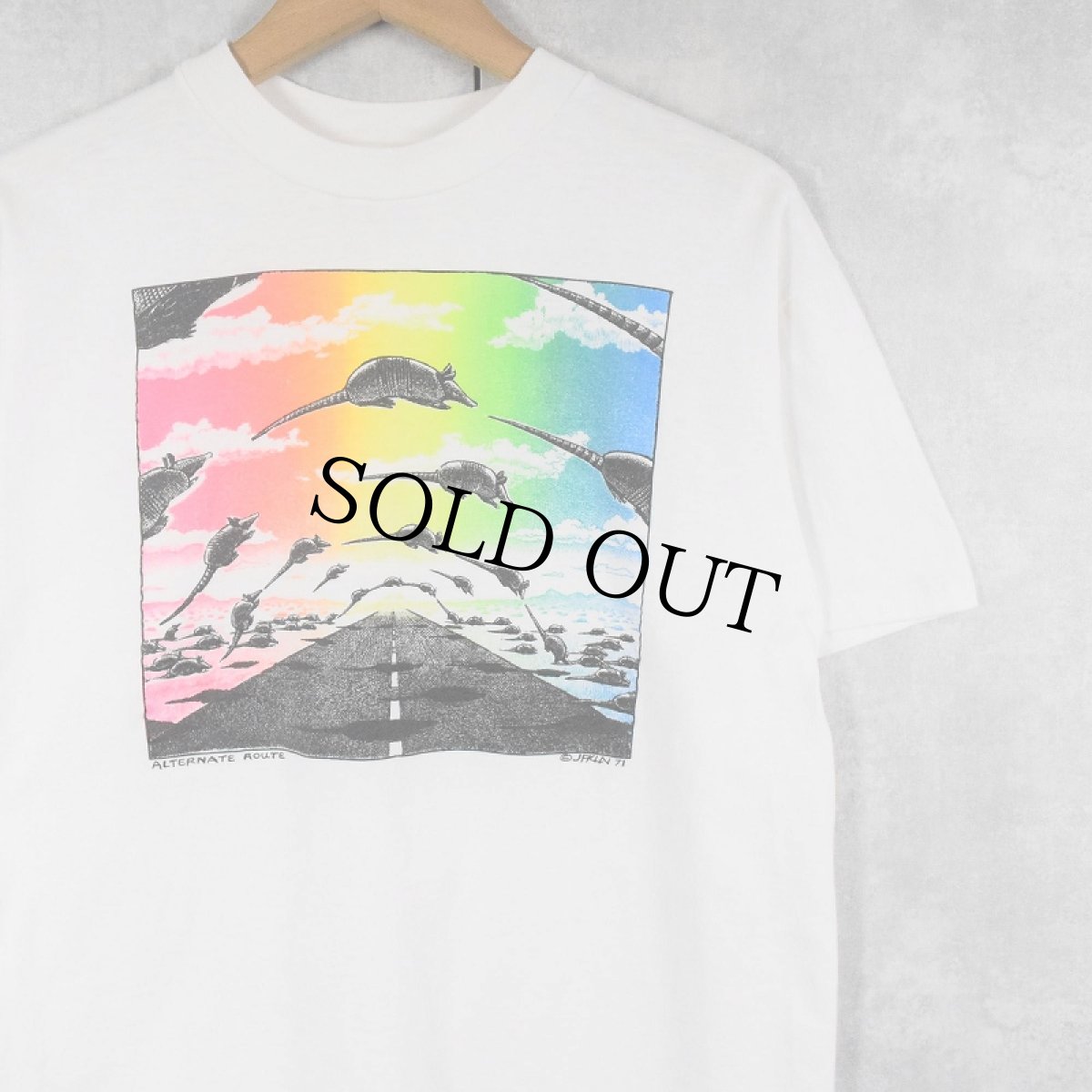 画像1: 90's Jim Franklin "ALTERNATE ROUTE" アートプリントTシャツ L (1)
