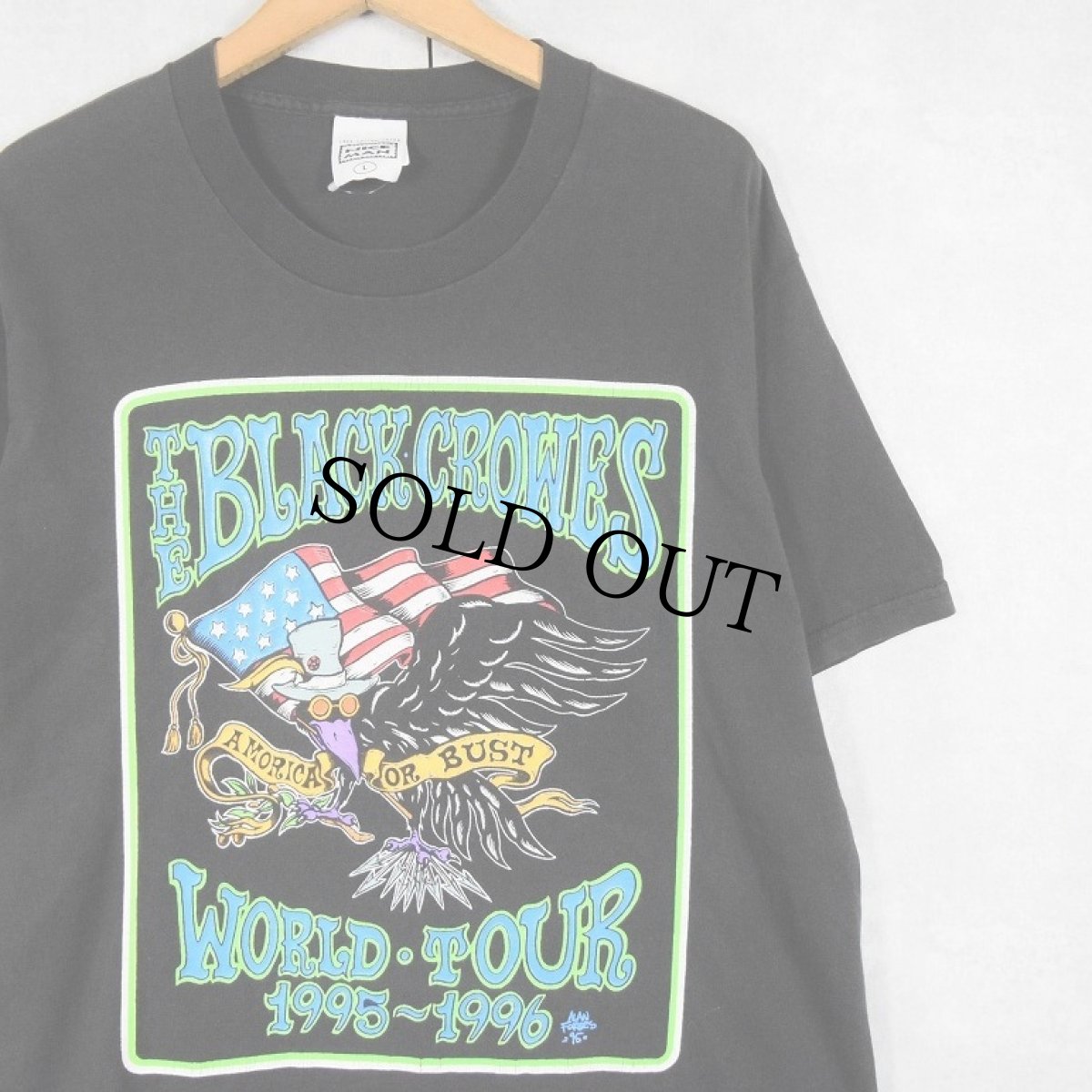 画像1: 90's The Black Crowes USA製 "AMORICA OR BUST" ロックバンドツアーTシャツ BLACK L (1)