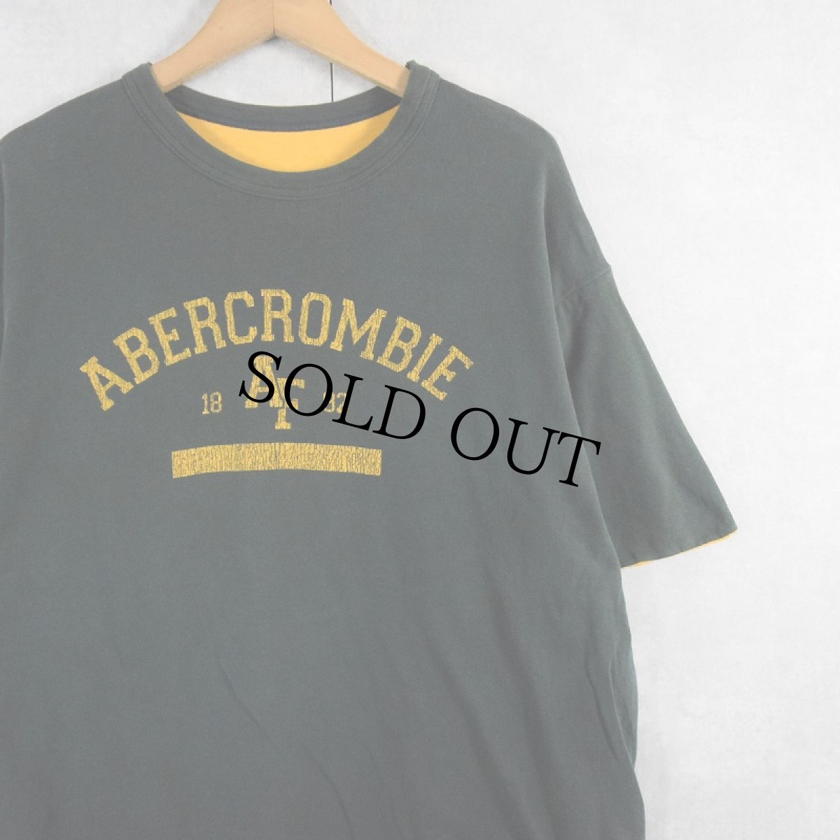 画像1: 90's〜 ABERCROMBIE＆FITCH USA製 ダブルフェイス リバーシブルTシャツ GREEN L (1)