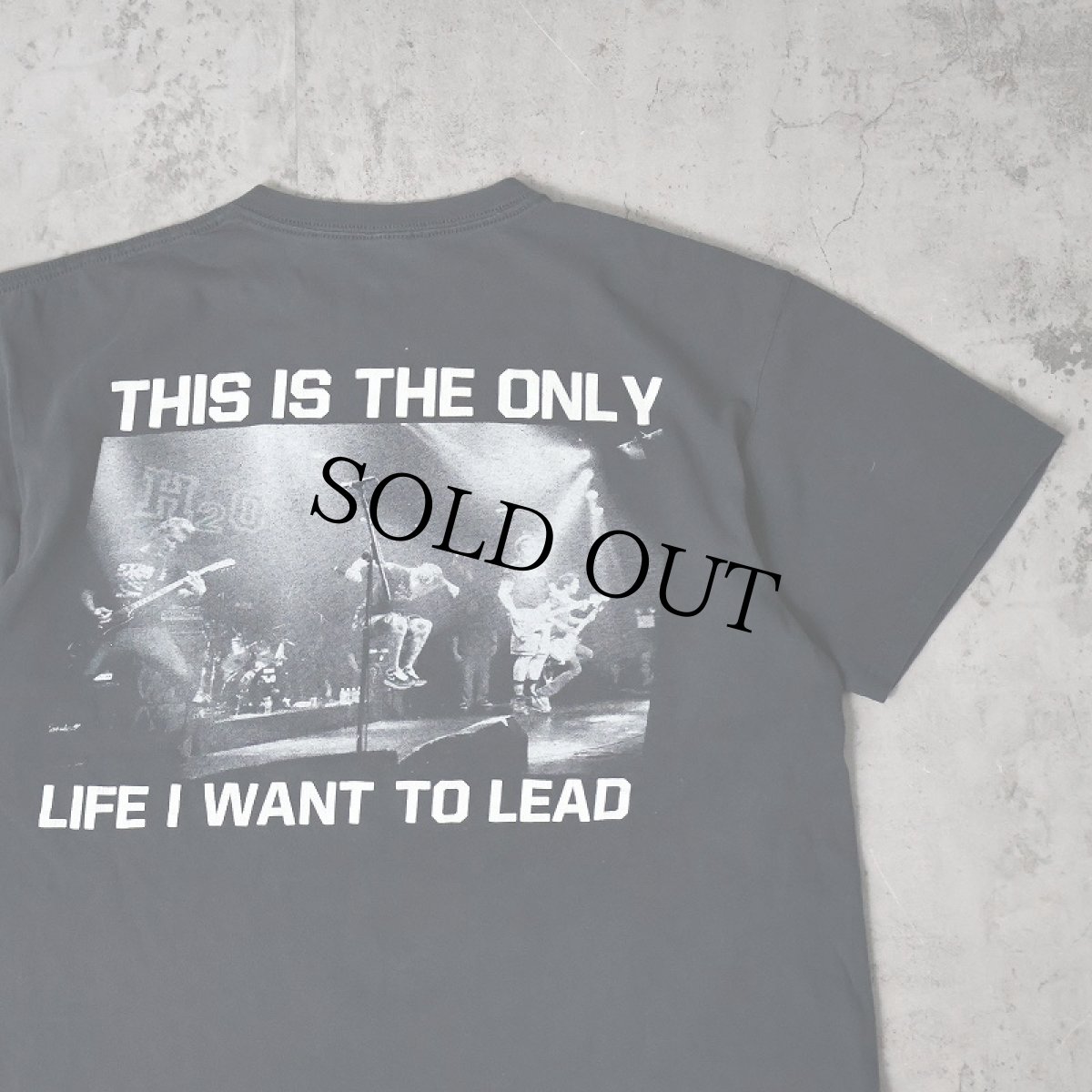 画像2: H2O "THIS IS THE ONLY LIFE I WANT TO LEAD" ハードコアパンクバンド プリントTシャツ BLACK (2)
