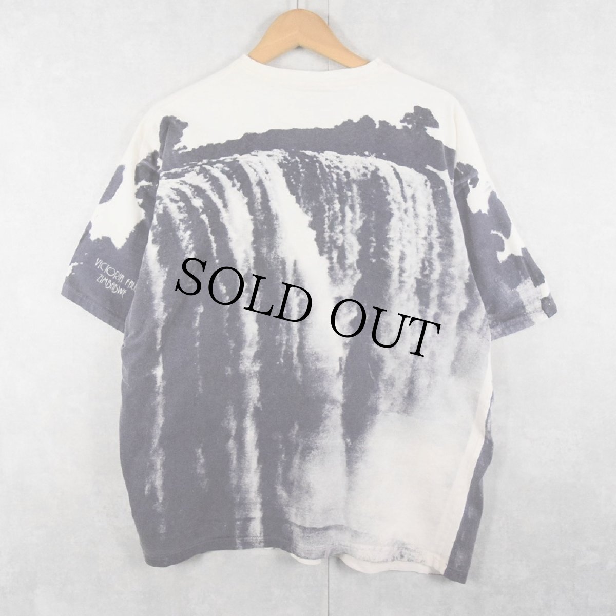 画像2: EARTH "Victoria Falls" 滝 大判プリントTシャツ XL (2)