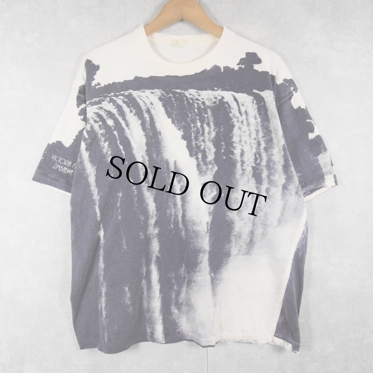 画像1: EARTH "Victoria Falls" 滝 大判プリントTシャツ XL (1)