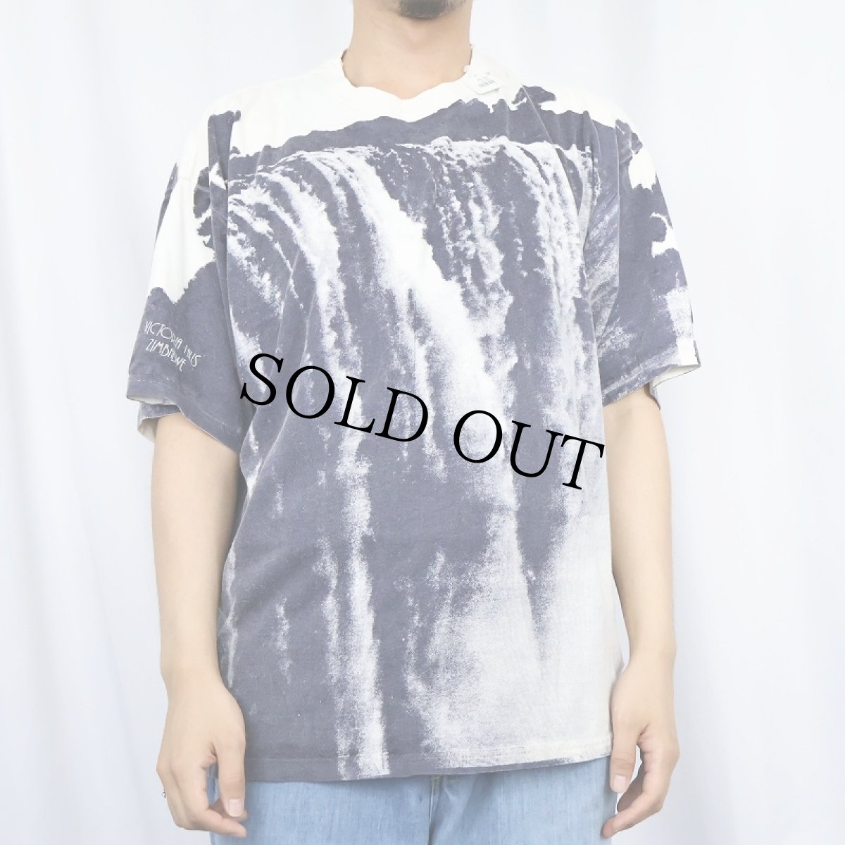 画像3: EARTH "Victoria Falls" 滝 大判プリントTシャツ XL (3)