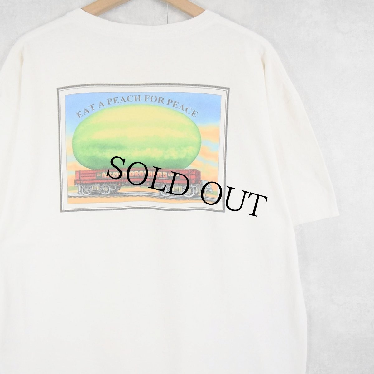 画像2: ALL MAN BROTHERS BAND "EAT A PEACH FOR PEACE" ブルースロックバンド XL (2)