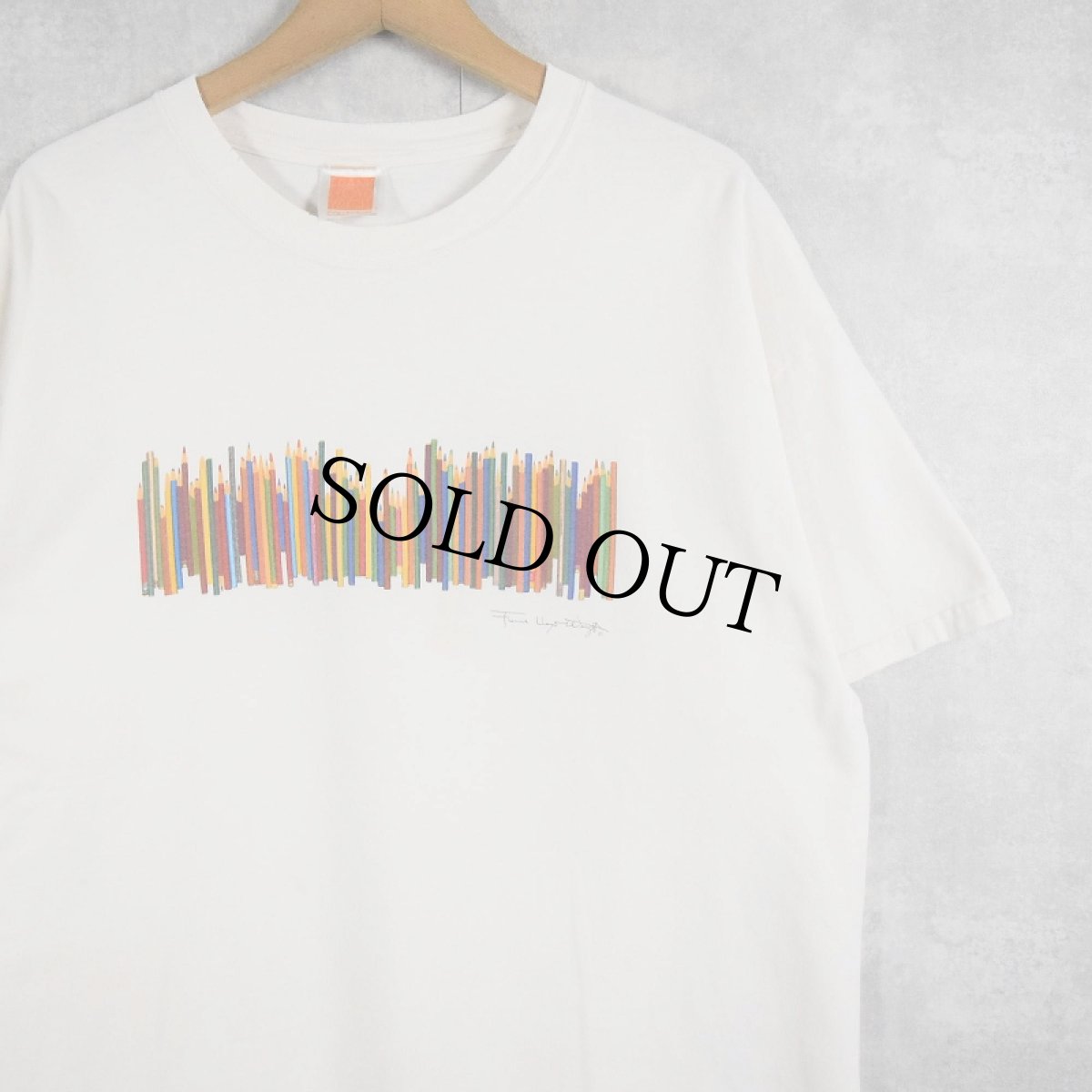画像1: 2000's Frank Lloyd Wright 建築家 アートプリントTシャツ (1)