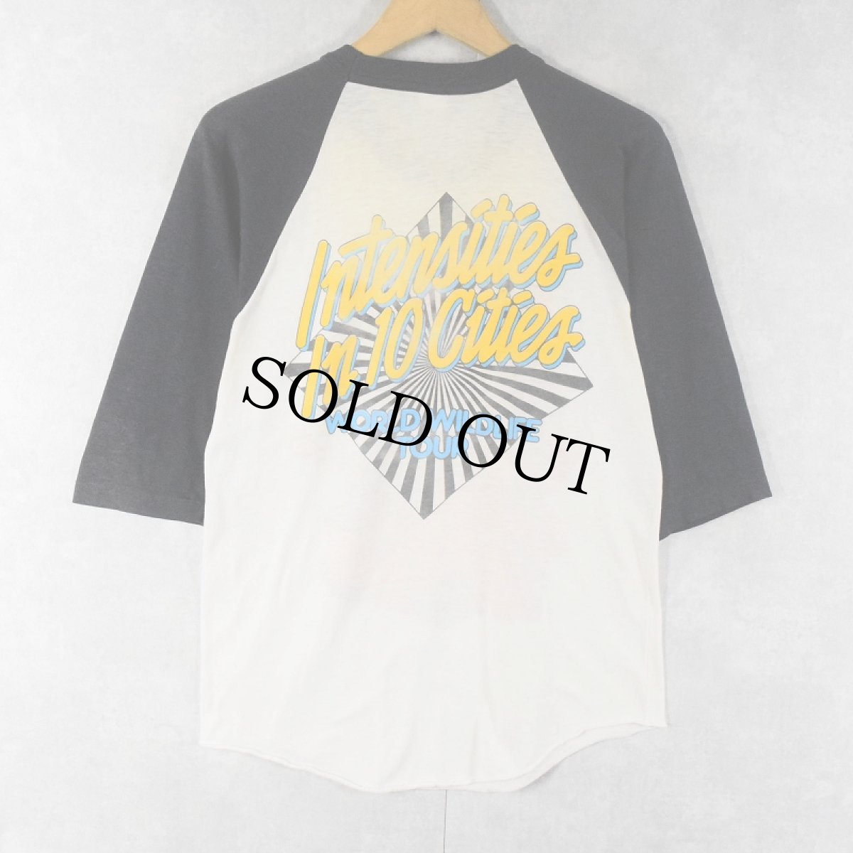 画像2: 80's Ted Nugent USA製 "World Wildlife" ギタリスト ツアープリント ラグランTシャツ L (2)