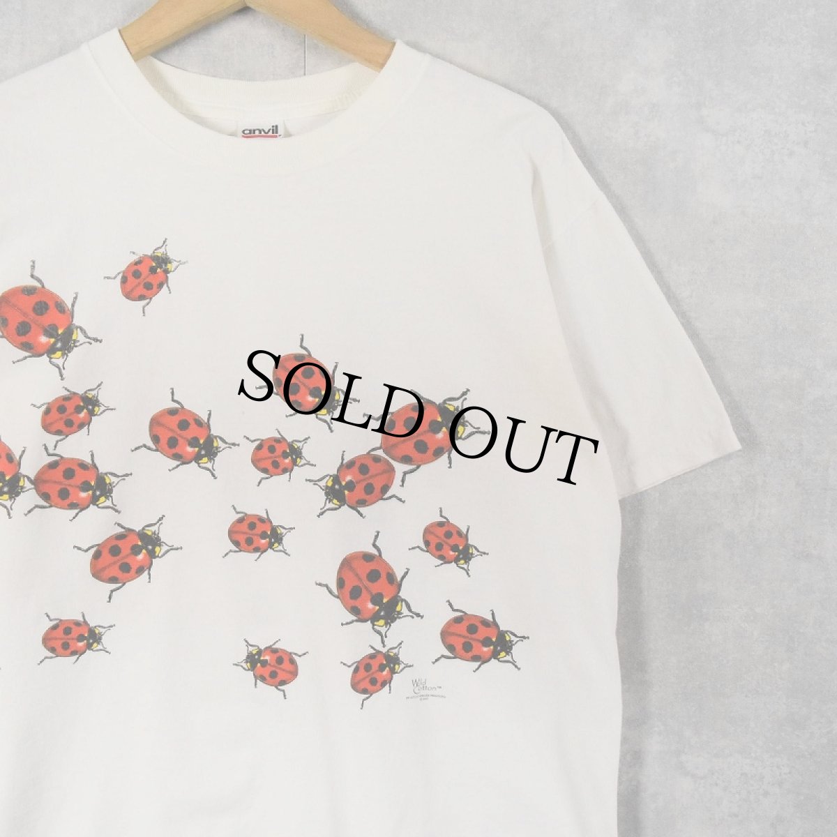 画像1: 90's〜 Wild Cotton てんとう虫柄 プリントTシャツ M (1)