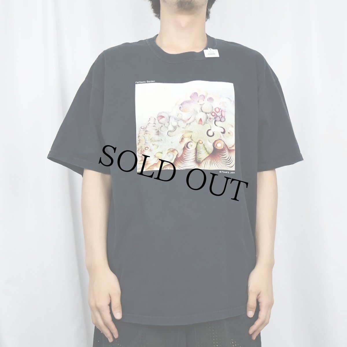 画像2: Powell St. John シンガーソングライター アートプリントTシャツ XL (2)