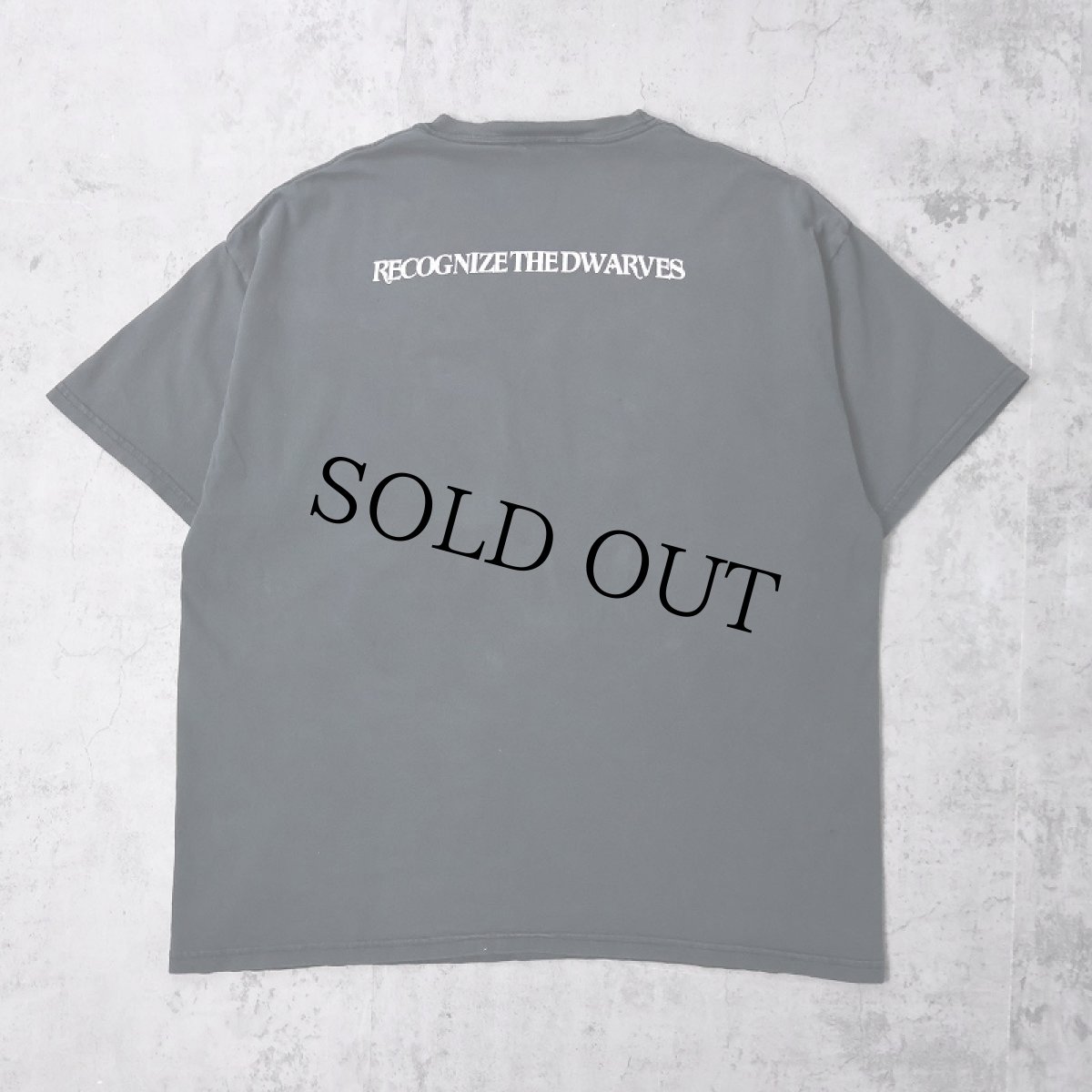 画像2: DWARVES "RECOGNIZE THE DWARVES" パンクロックバンドTシャツ (2)