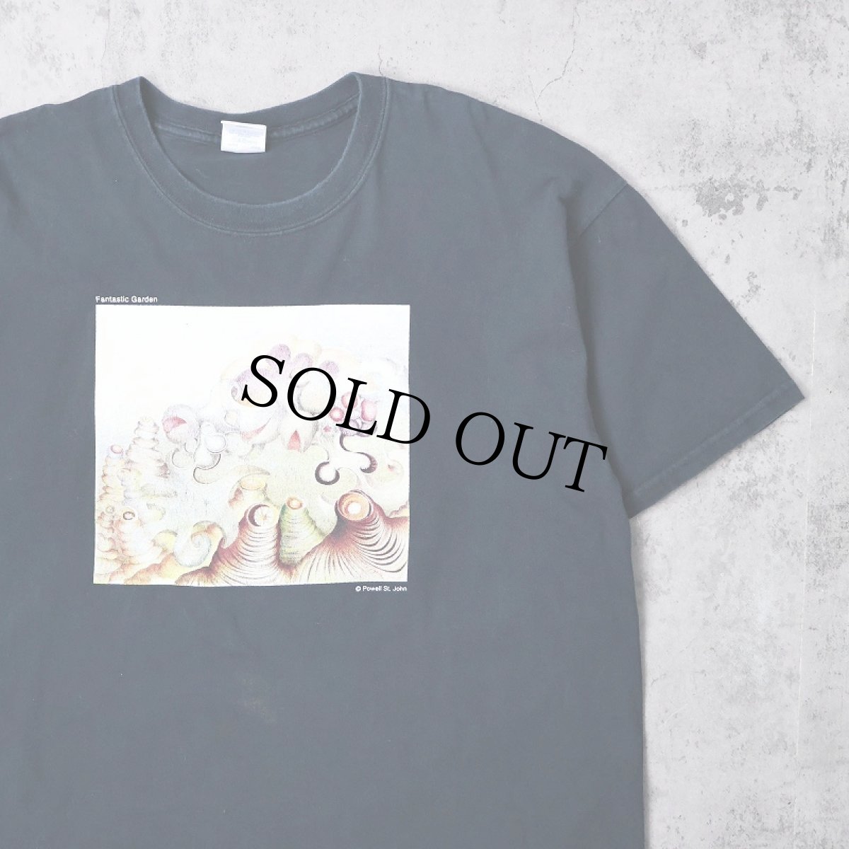画像1: Powell St. John シンガーソングライター アートプリントTシャツ XL (1)