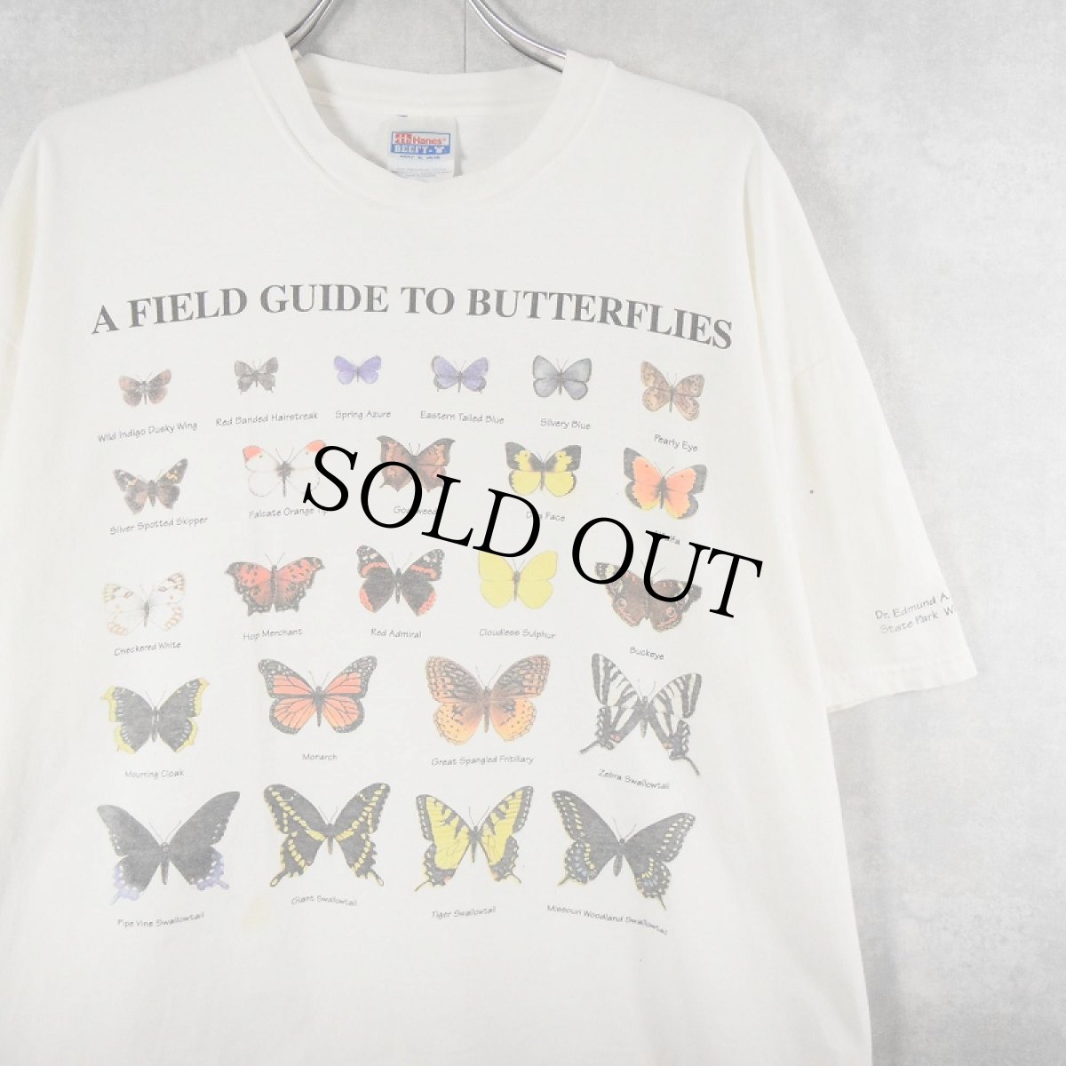 画像1: "A FIELD GUIDE TO BUTTERFLIES" 蝶プリントTシャツ XL (1)