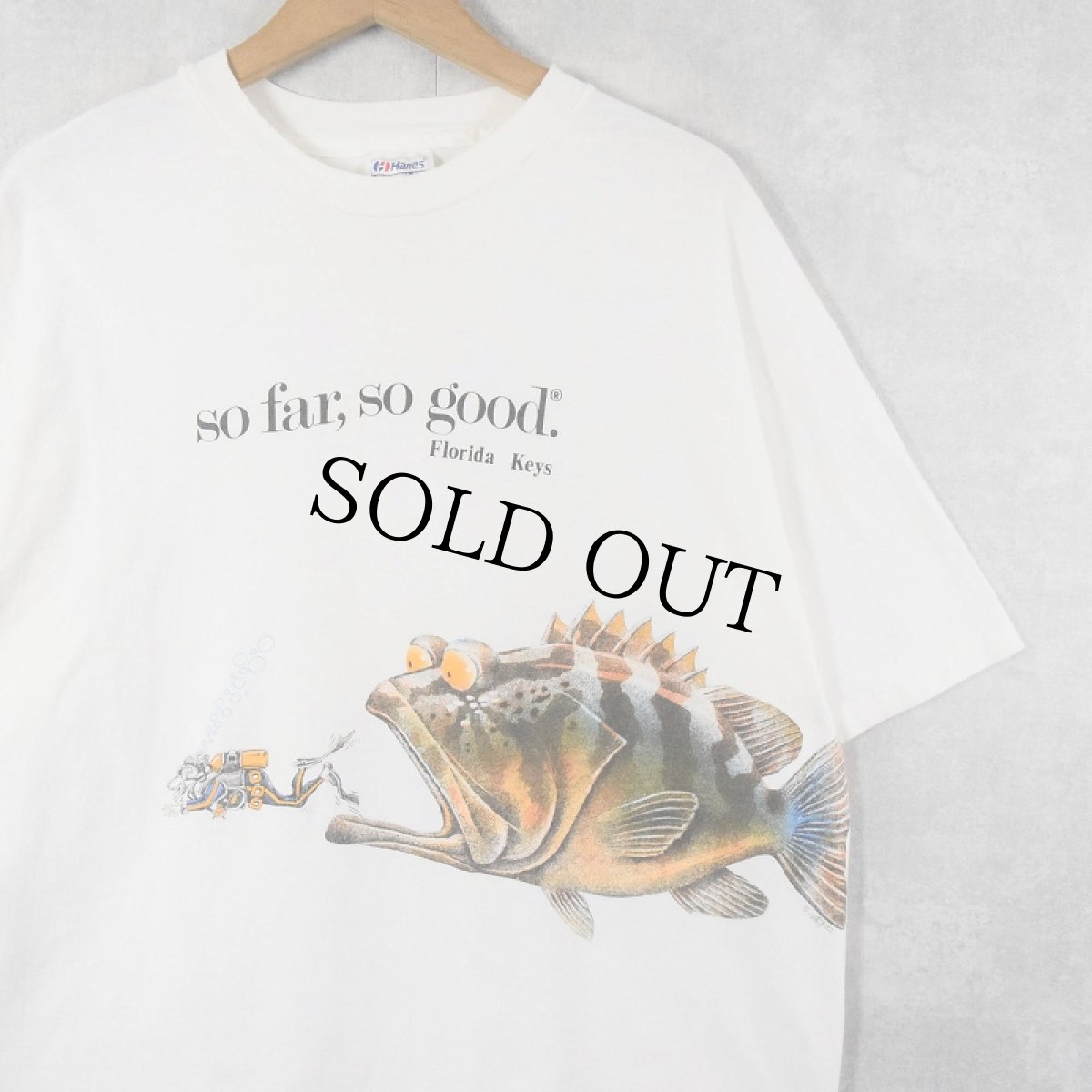 画像1: 90's USA製 "so far, so good." 魚プリントTシャツ XL (1)