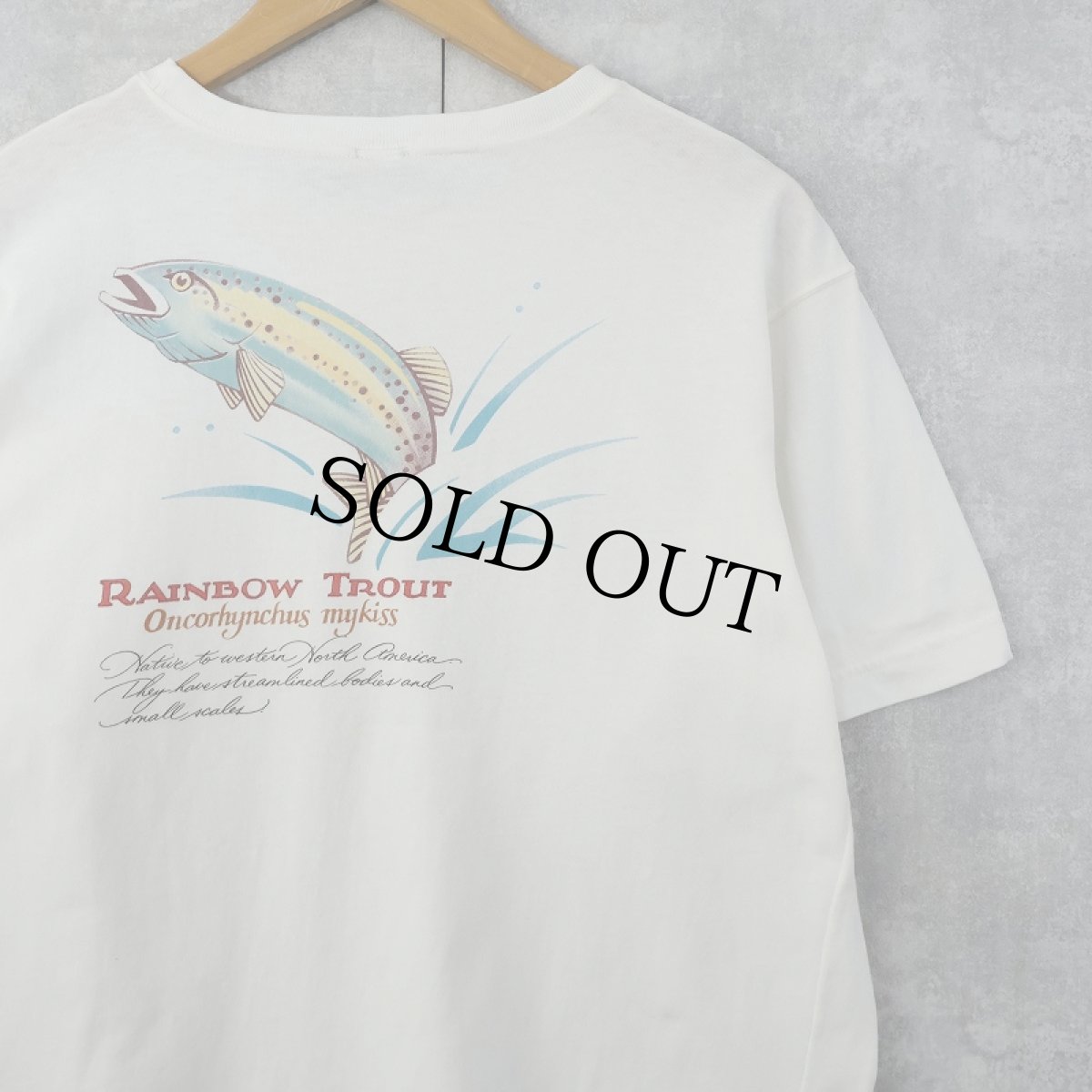 画像1: 90's LANDS' END USA製 "Rainbow Tour" ポケット付きプリントTシャツ XL (1)
