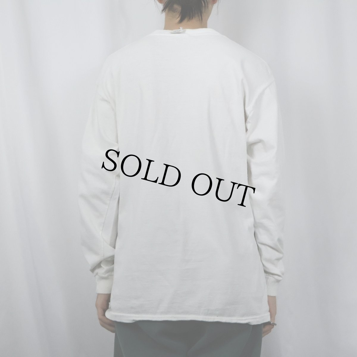 画像3: 90's USA製 "DIVERSITY" カエルイラストプリントTシャツ L (3)