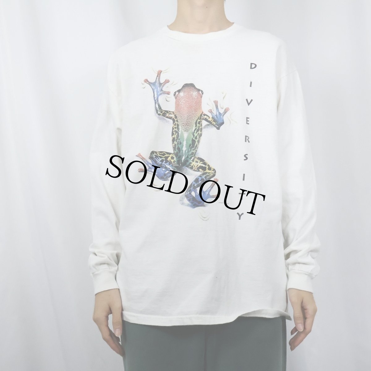 画像2: 90's USA製 "DIVERSITY" カエルイラストプリントTシャツ L (2)