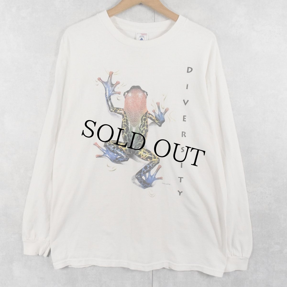 画像1: 90's USA製 "DIVERSITY" カエルイラストプリントTシャツ L (1)