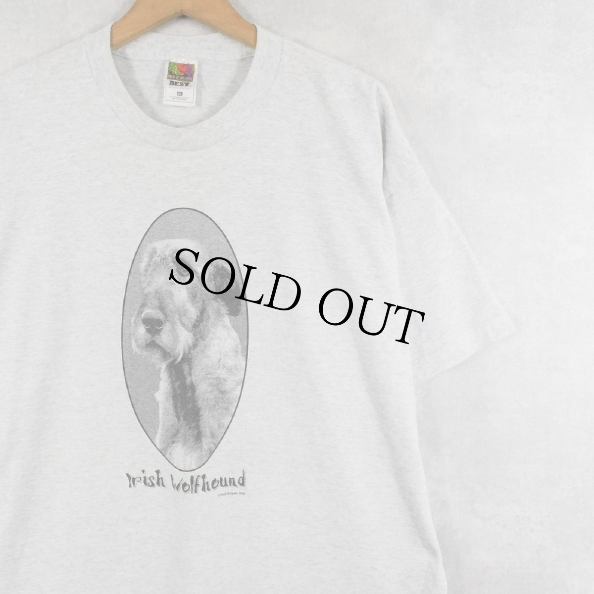 画像1: 2000's "Irish Wolfhound" 犬プリントTシャツ XXL (1)