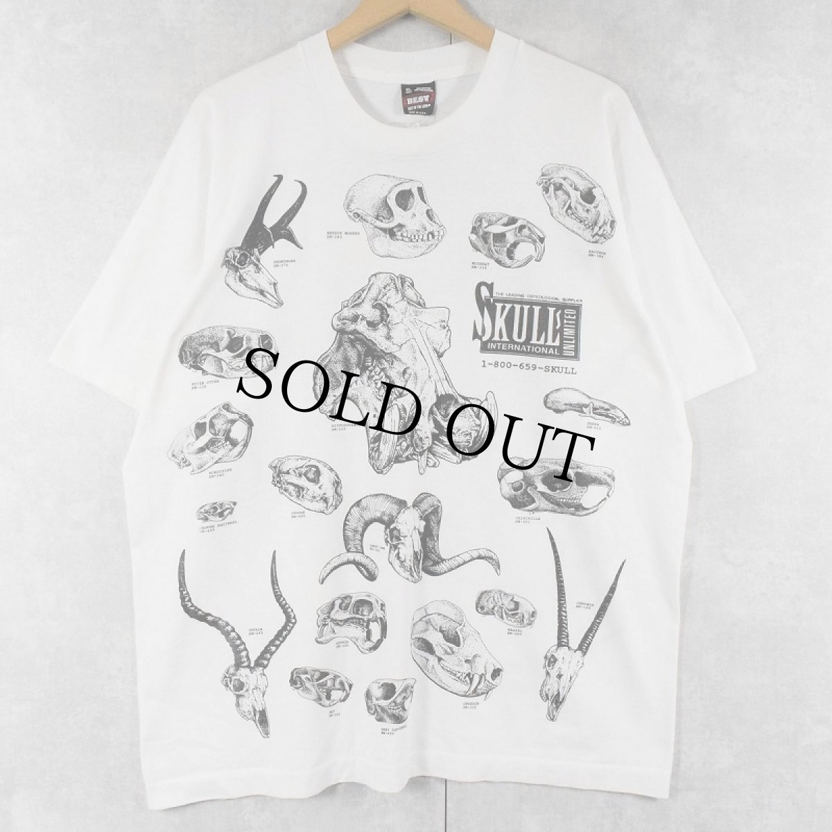 画像1: 90's USA製 動物 骨格標本 プリントTシャツ XL (1)