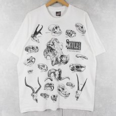 画像1: 90's USA製 動物 骨格標本 プリントTシャツ XL (1)