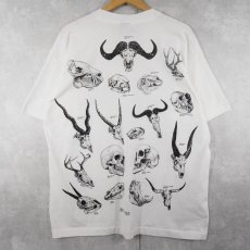 画像2: 90's USA製 動物 骨格標本 プリントTシャツ XL (2)