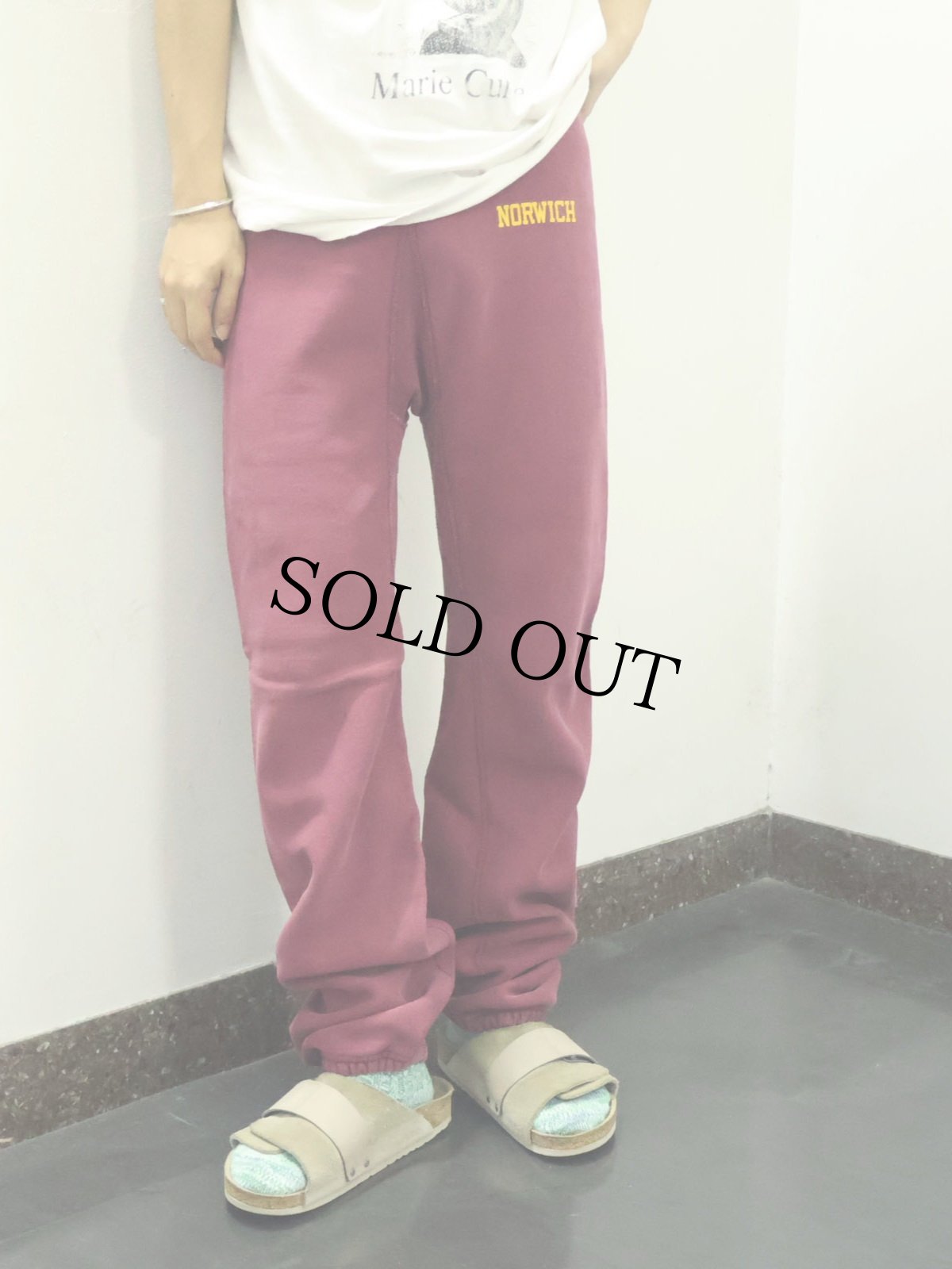 画像1: Champion REVERSE WEAVE "NORWICH" プリントスウェットパンツ (1)