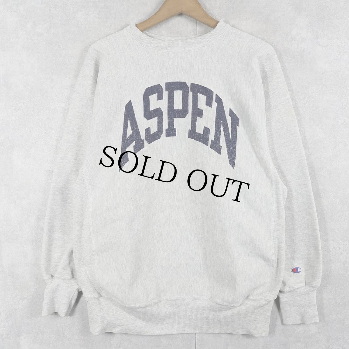 画像1: 90's〜 Chamipon REVERSE WEAVE "ASPEN" プリントスウェット (1)