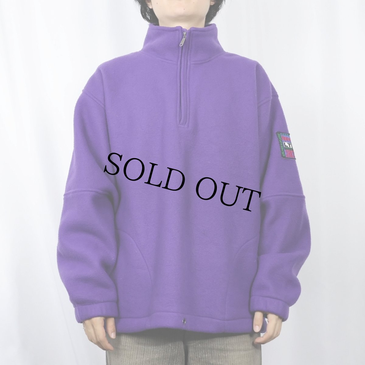 画像2: 90's GAP "ALPINE SERIES" ワッペン付き ハーフジップフリースジャケット M (2)