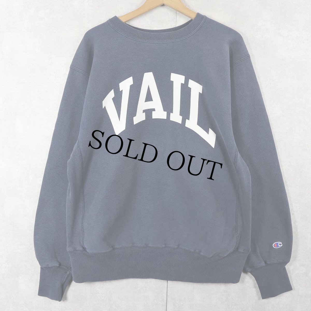 画像1: 90's Champion REVERSE WEAVE "VAIL" プリントスウェット NAVY L (1)
