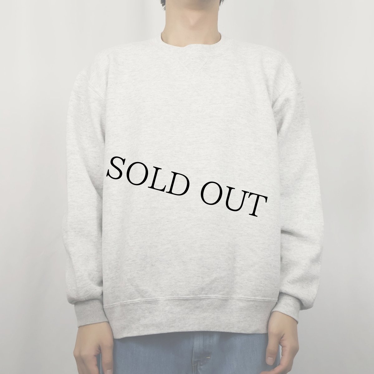 画像2: 90's RUSSELL ATHLETIC USA製 前V 無地スウェット L (2)