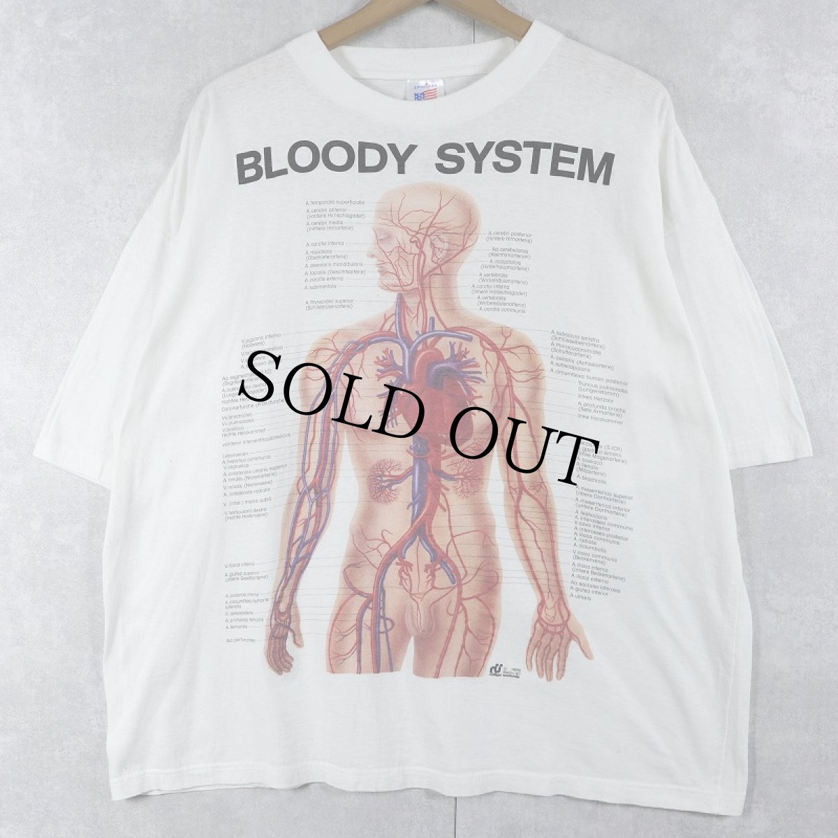 画像1: 80's〜 "BODY SYSTEM" 人体解剖図 イラストプリントTシャツ XXL (1)