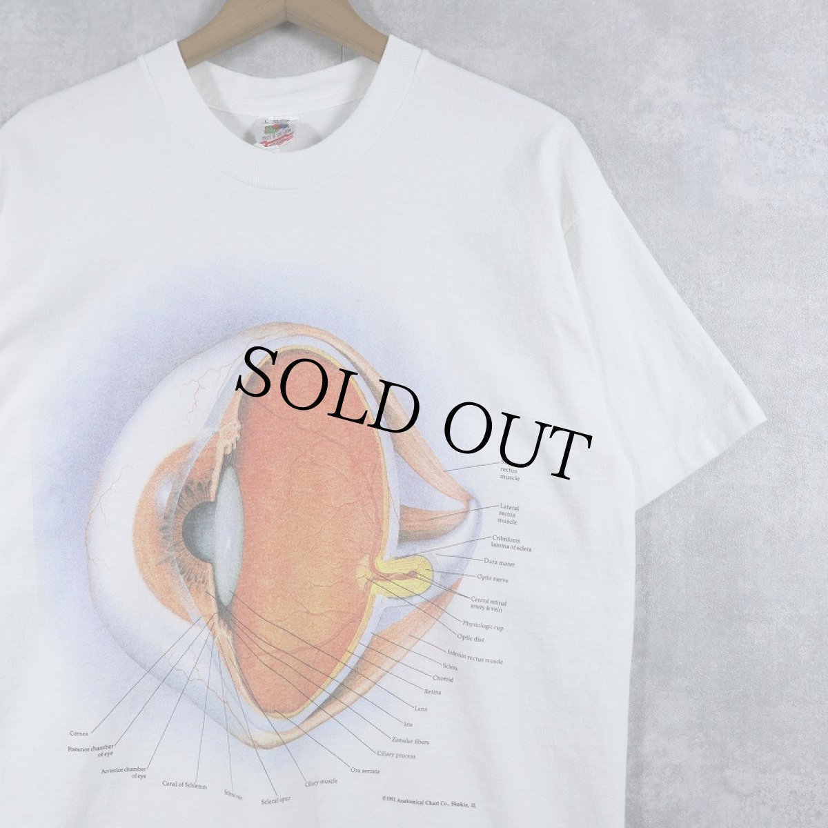 画像1: 90's Anatomical Chart Co. USA製 "Eyes" 人体図プリントTシャツ L (1)