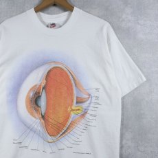 画像1: 90's Anatomical Chart Co. USA製 "Eyes" 人体図プリントTシャツ L (1)
