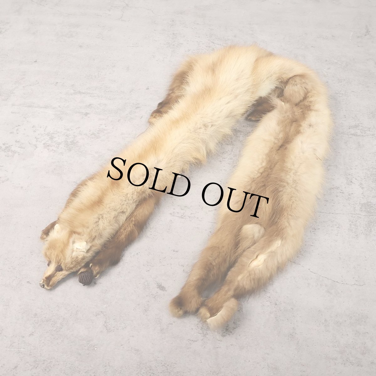 画像1: ミンク/フォックス リアルファー (1)